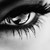 :iconz-hirz: