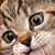 :iconzabo87: