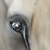 :iconzabre-x: