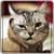 :iconzachtie: