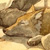 :iconzackywolf: