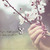 :iconzad-27: