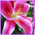 :iconzadkielprints: