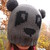:iconzaff1993: