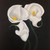 :iconzaggie: