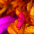 :iconzaine-and-i: