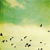 :iconzakbroman:
