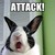 :iconzaki47: