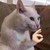 :iconzakyboy: