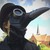 :iconzalandire: