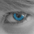 :iconzambilici11: