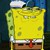 :iconzambusha333: