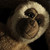 :iconzamme123: