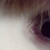 :iconzanachuu: