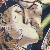 :iconZander18: