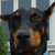 :iconZanderClause: