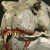 :iconzanerithcloud: