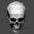 :iconzanimal:
