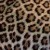 :iconzanimalz: