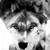 :iconzannibalproject: