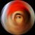 :iconzannycat1: