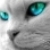 :iconzannyi:
