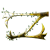 ZanOellO :iconzanoello: