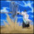 :iconzanpaktocatchplz: