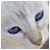 :iconzantoz: