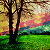 :iconZapenbits: