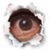 :iconZapper21: