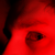 :iconZaqari: