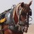 :iconzara-midori: