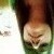 :iconzara-suzy: