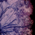 :iconzarp: