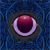:iconzatham: