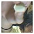 :iconzaths: