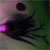 :iconzayala: