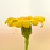 :iconzayoon: