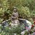 :iconzazen23: