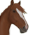 :iconzbierammarzenia: