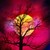:iconzbigniew79: