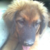 :iconzdenat2:
