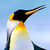 :iconzdmedbioart: