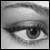 :iconze-newie: