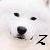 :iconze3b1: