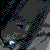:iconzeal8086: