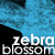 :iconzebrablossom: