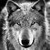 :iconzeeko2104: