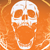 :iconzeekypoe: